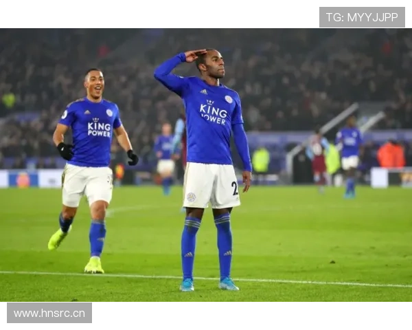 霍伊别尔技术全面性 霍伊别尔技术全面性